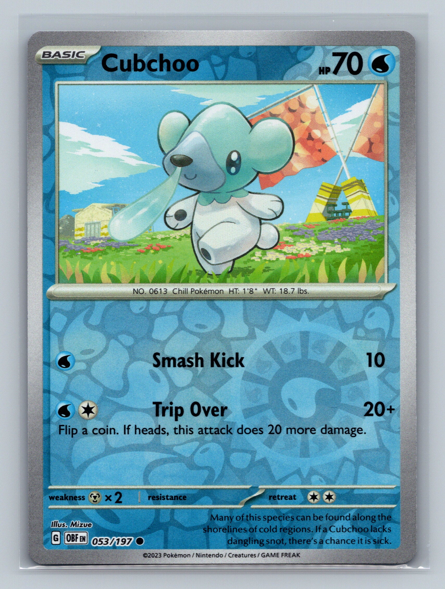 Cubchoo