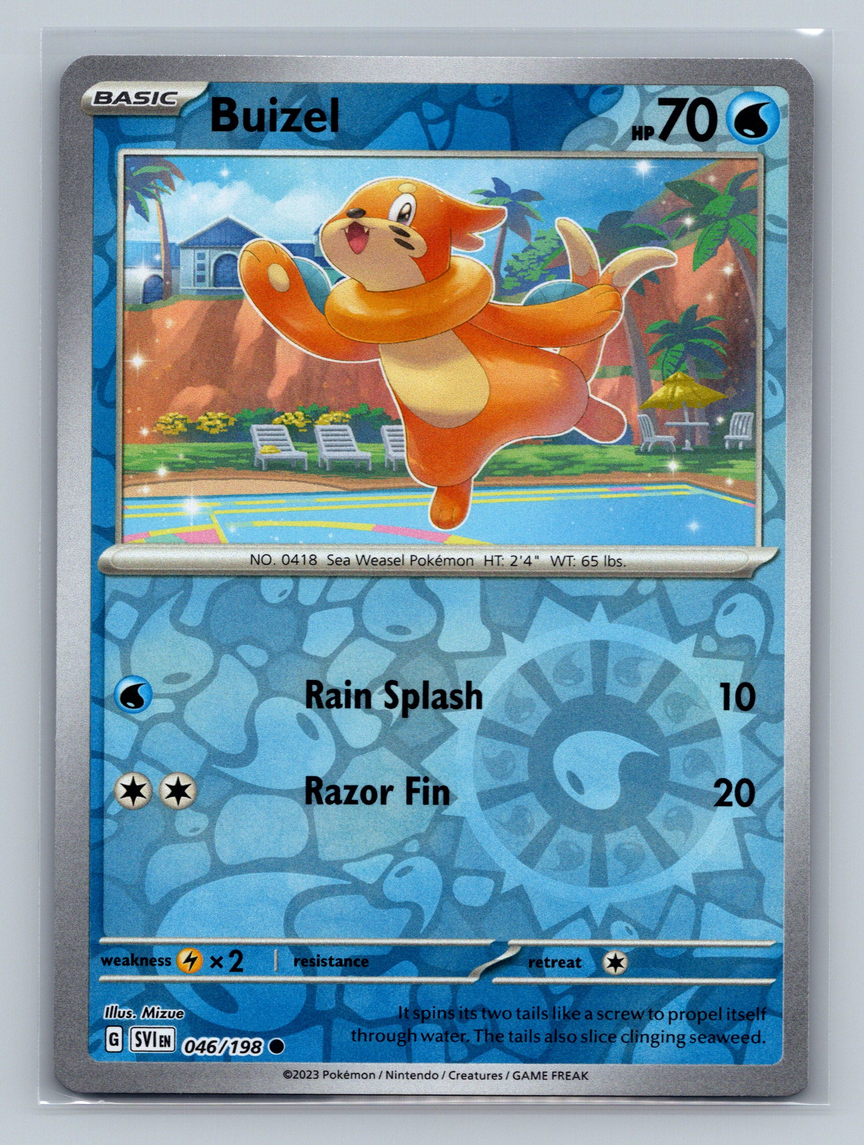 Buizel