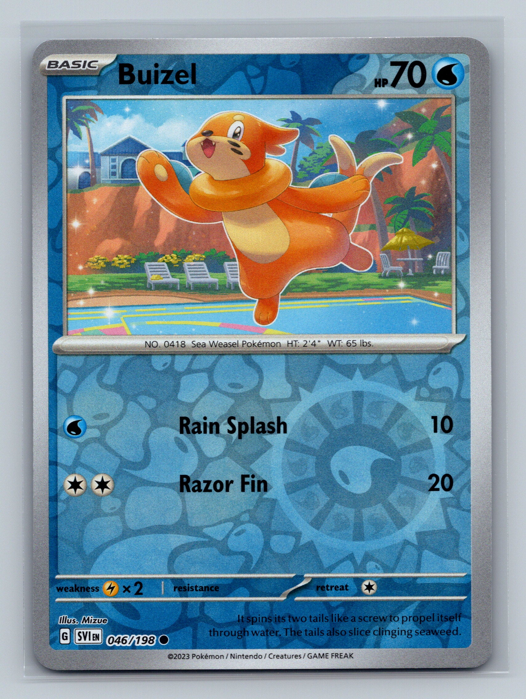 Buizel