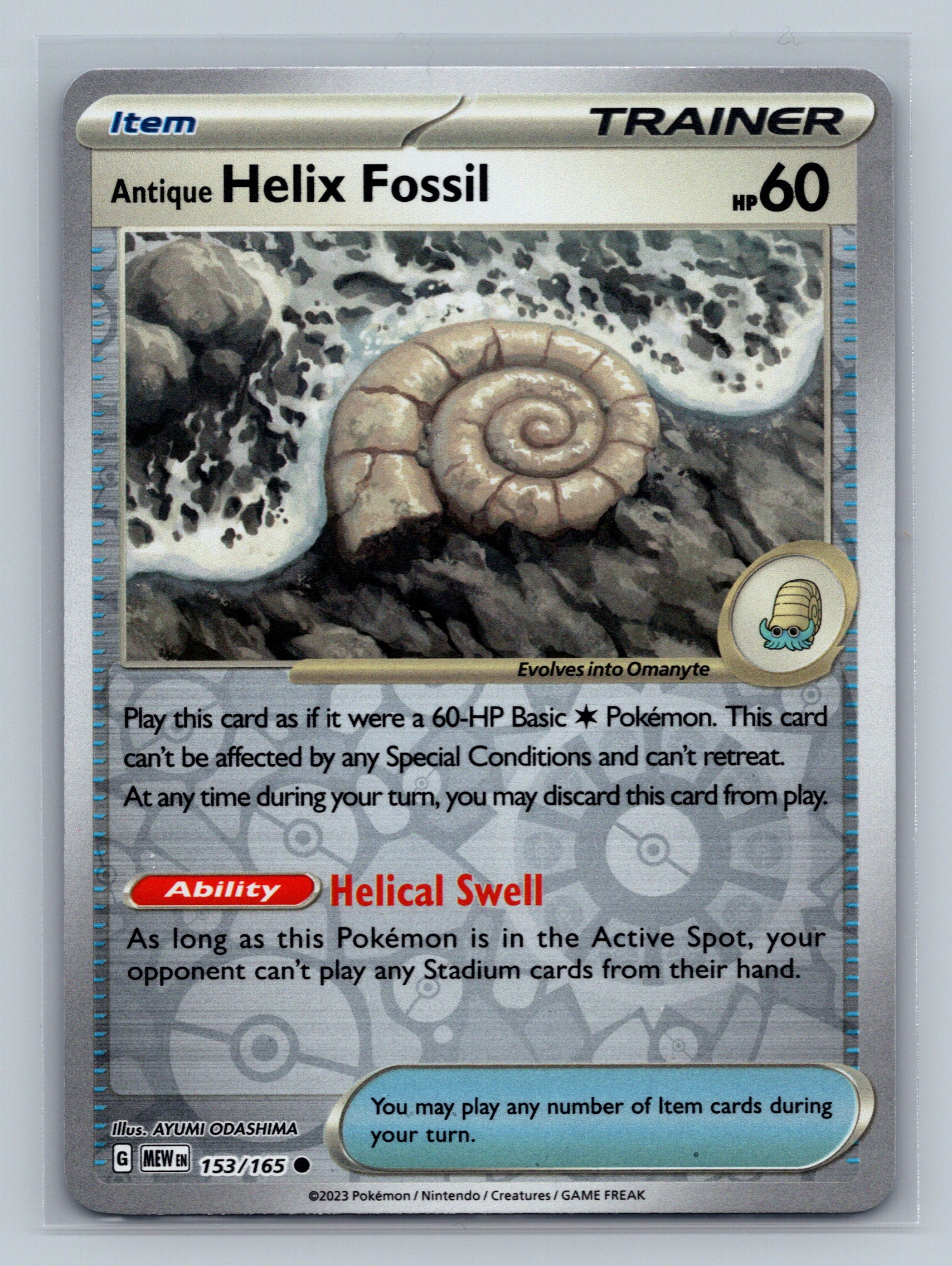 Antique Helix Fossil