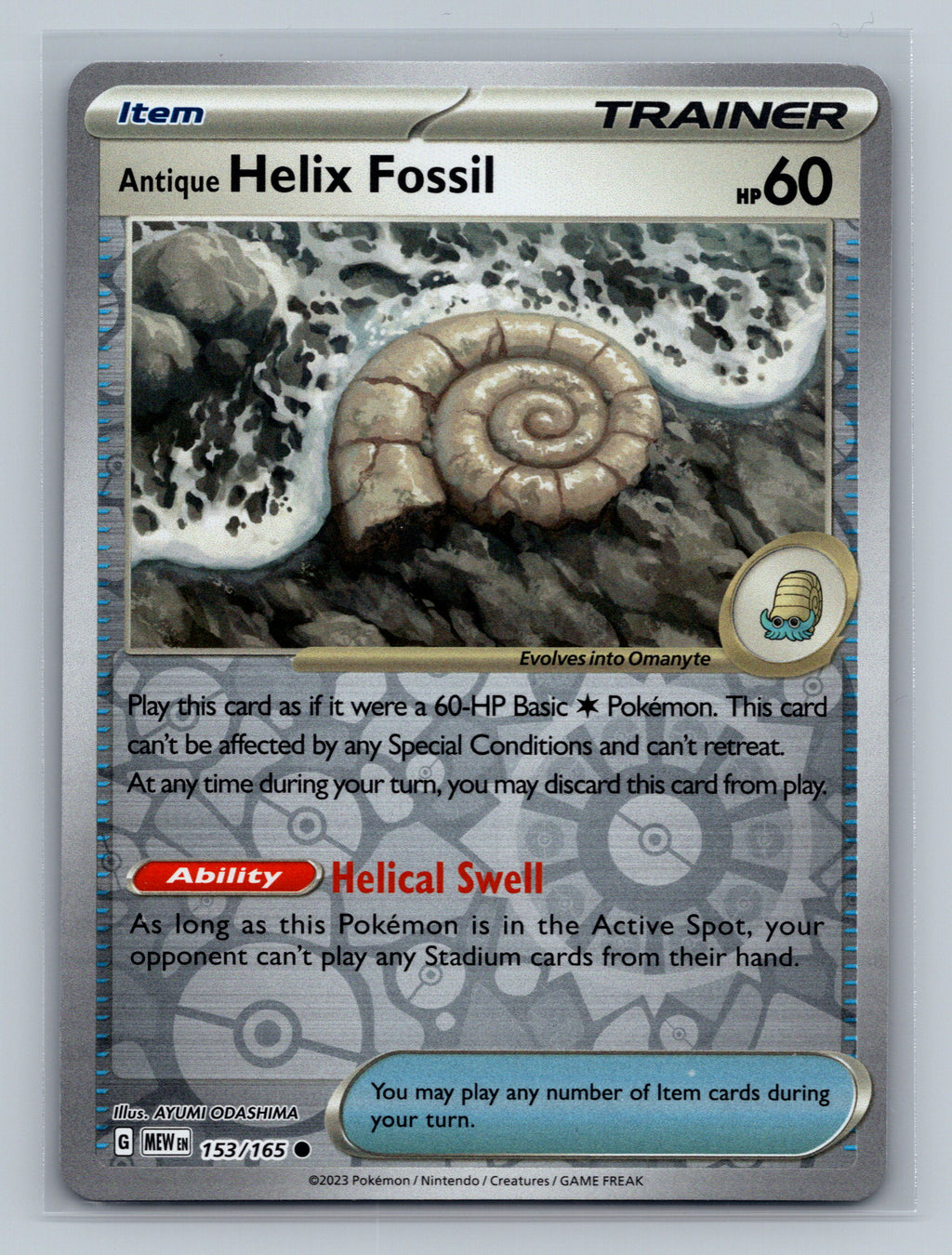 Antique Helix Fossil