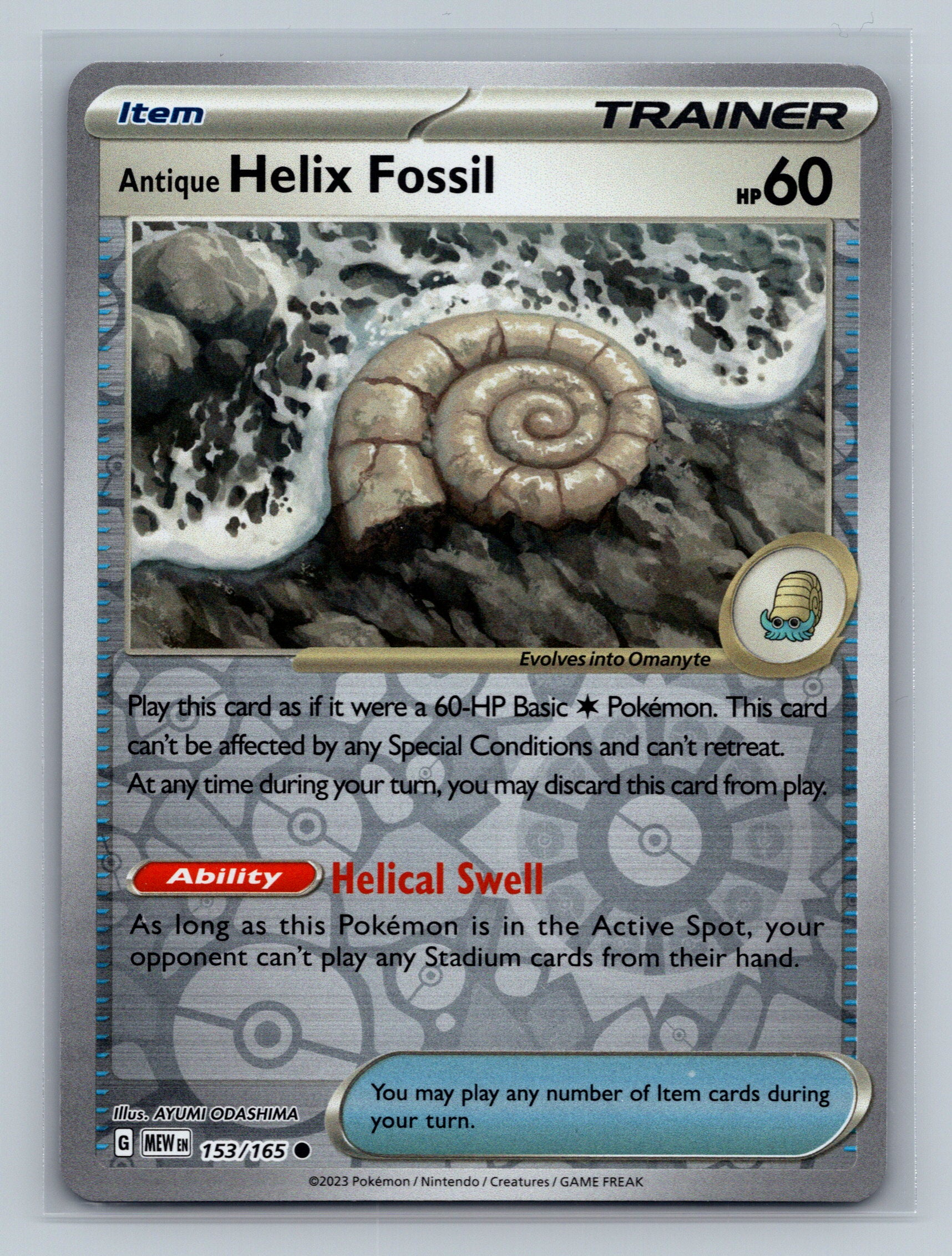 Antique Helix Fossil