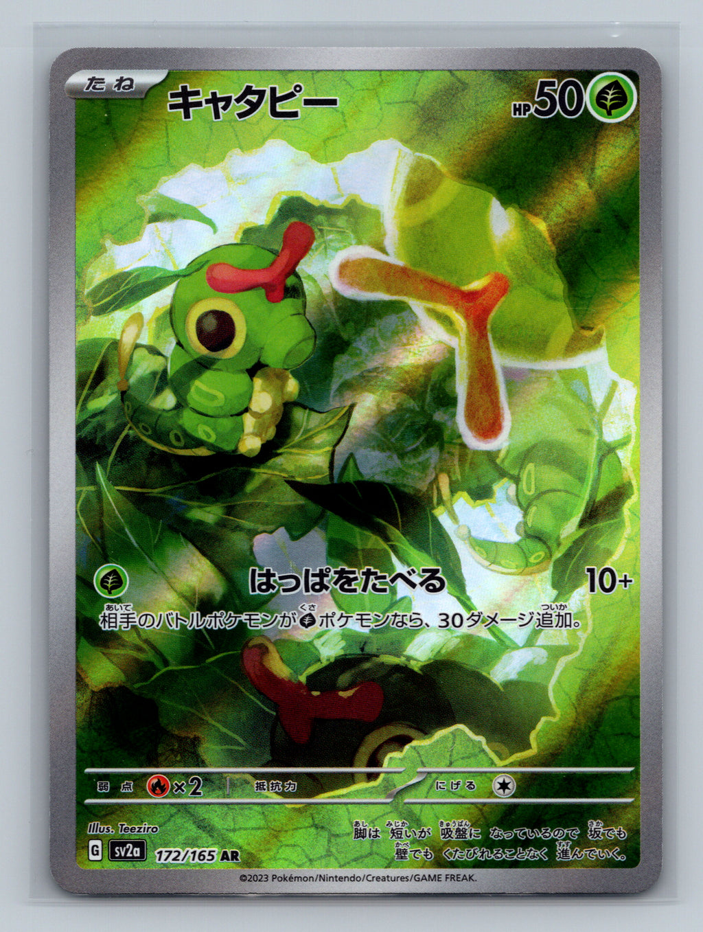Caterpie - 172/165