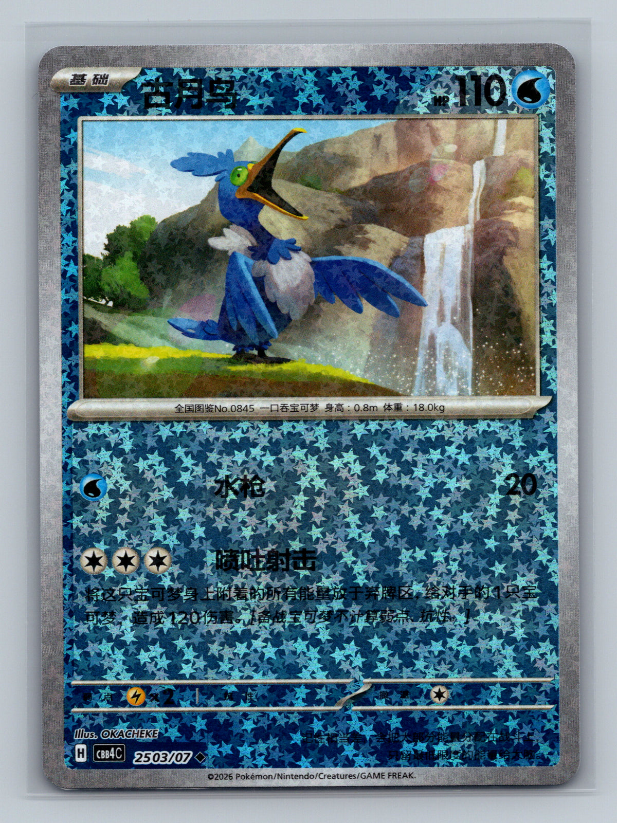 Cramorant - 2503