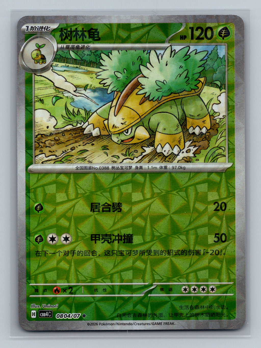 Grotle - 804