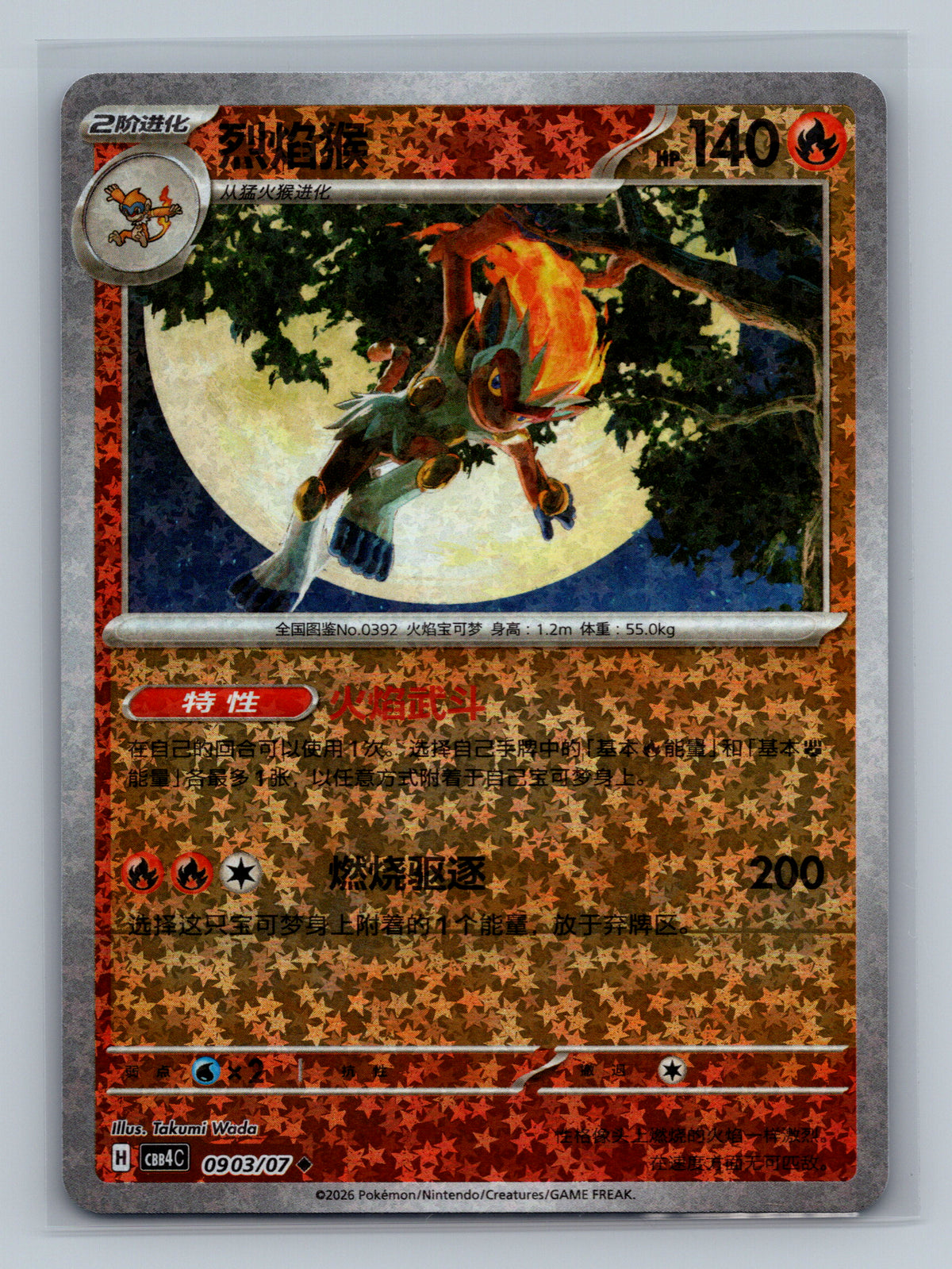Infernape - 903