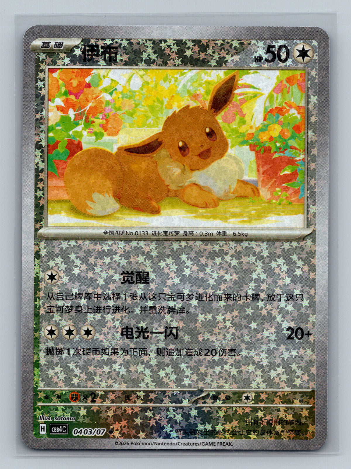 Eevee - 403