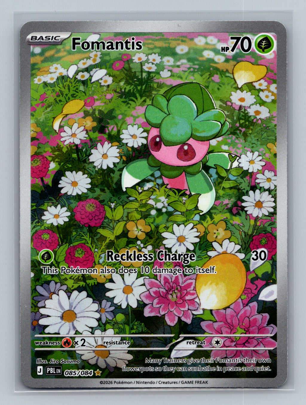 Fomantis - 085/084