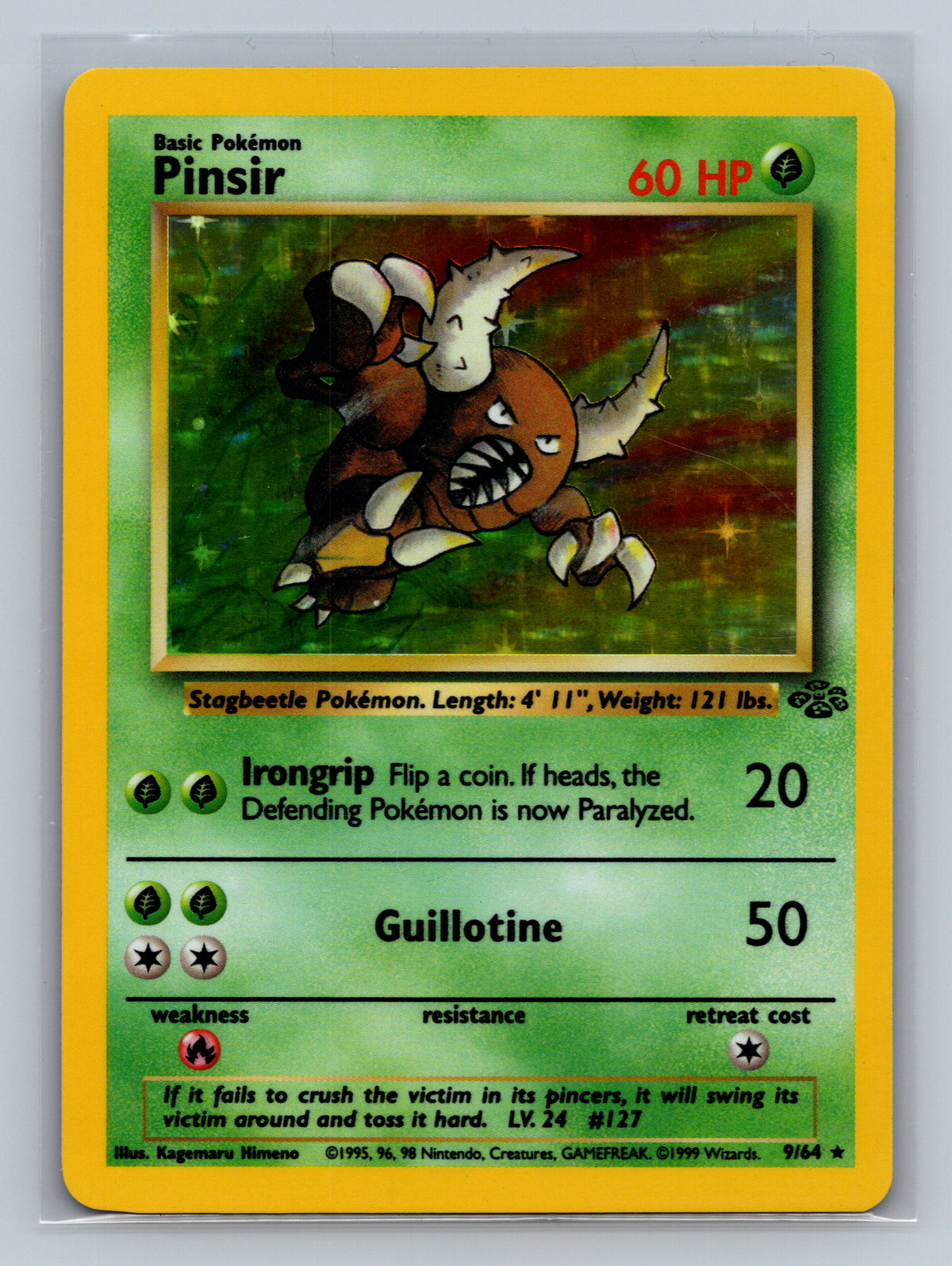 Pinsir (9)