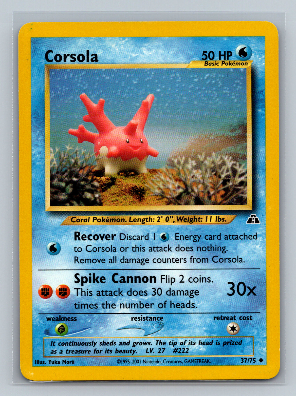 Corsola