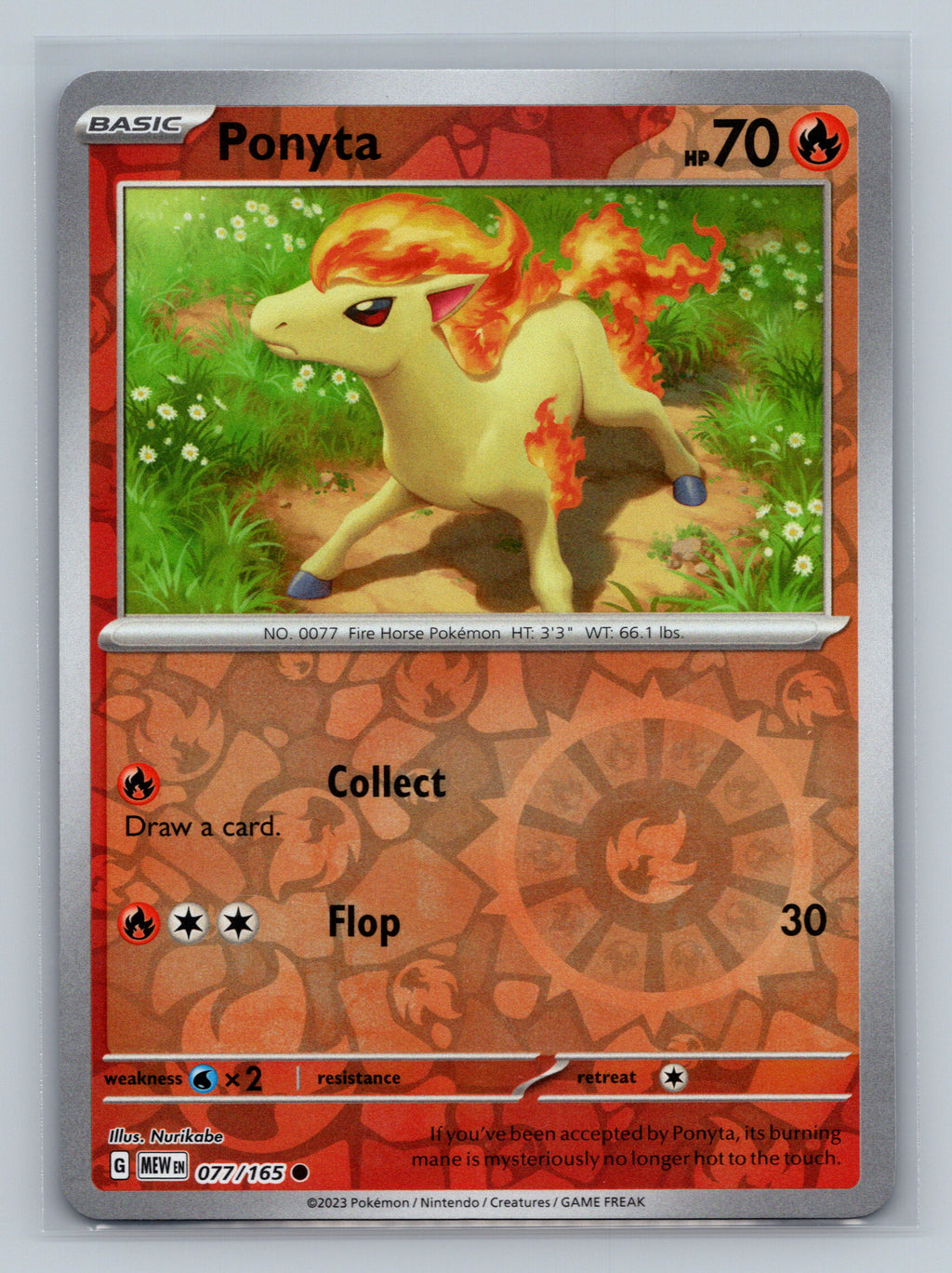 Ponyta