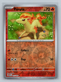 Ponyta