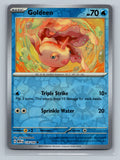 Goldeen