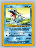 Totodile (81)