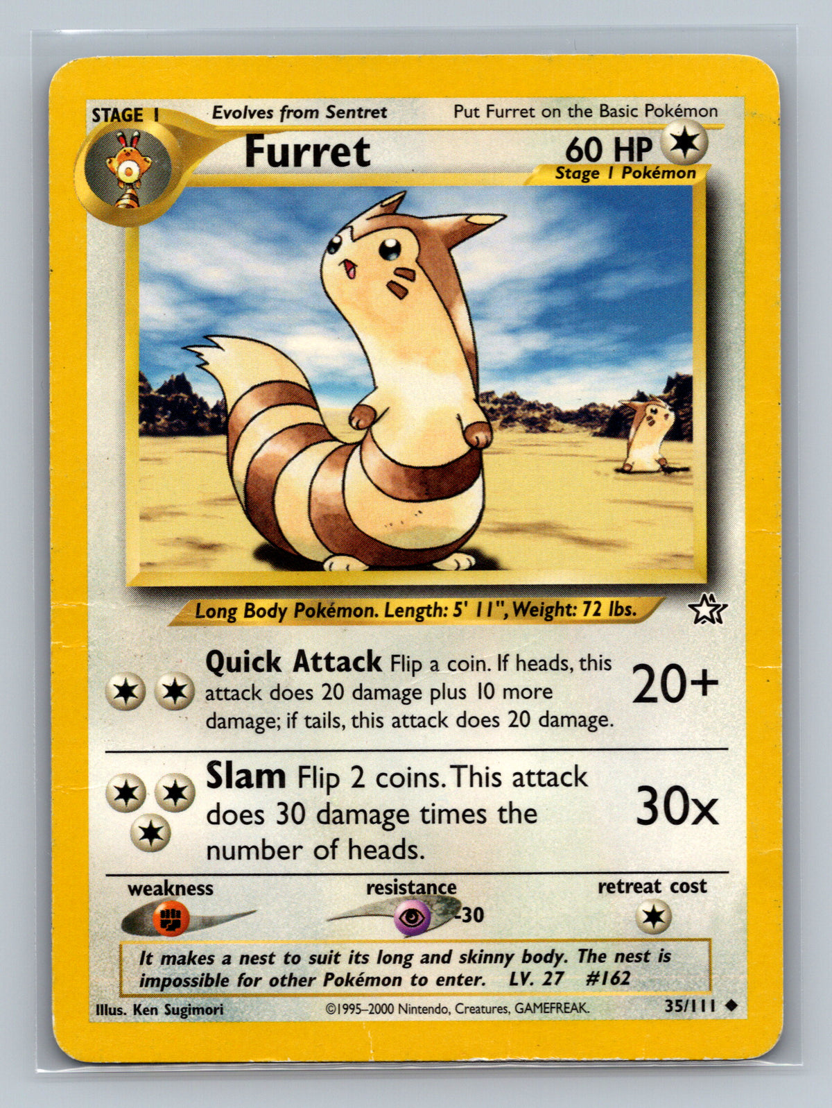 Furret