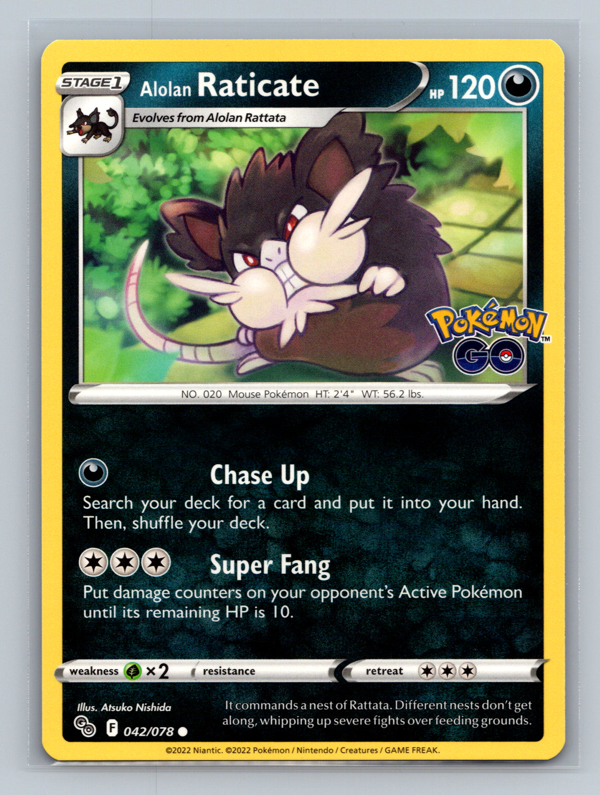 Alolan Raticate